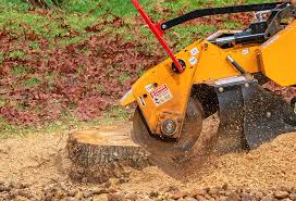 Lawn Maintenance Plans in San Juan, TX
