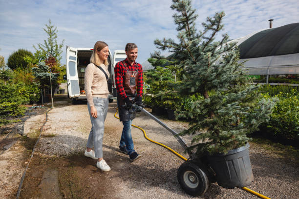 Best Emergency Tree Removal  in San Juan, TX